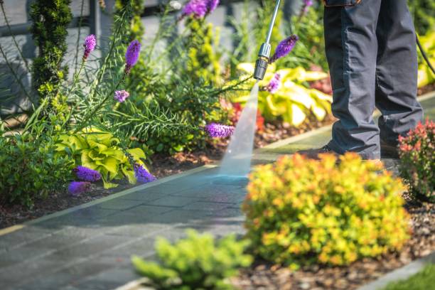 Best Spring Cleaning  in Scarsdale, NY
